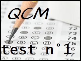 QCM, Tests psychotechniques gardien de la paix