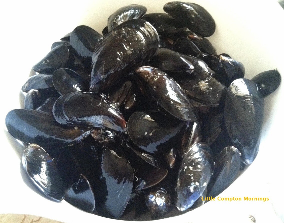 Little Compton Mornings Yours for the Taking Mussels