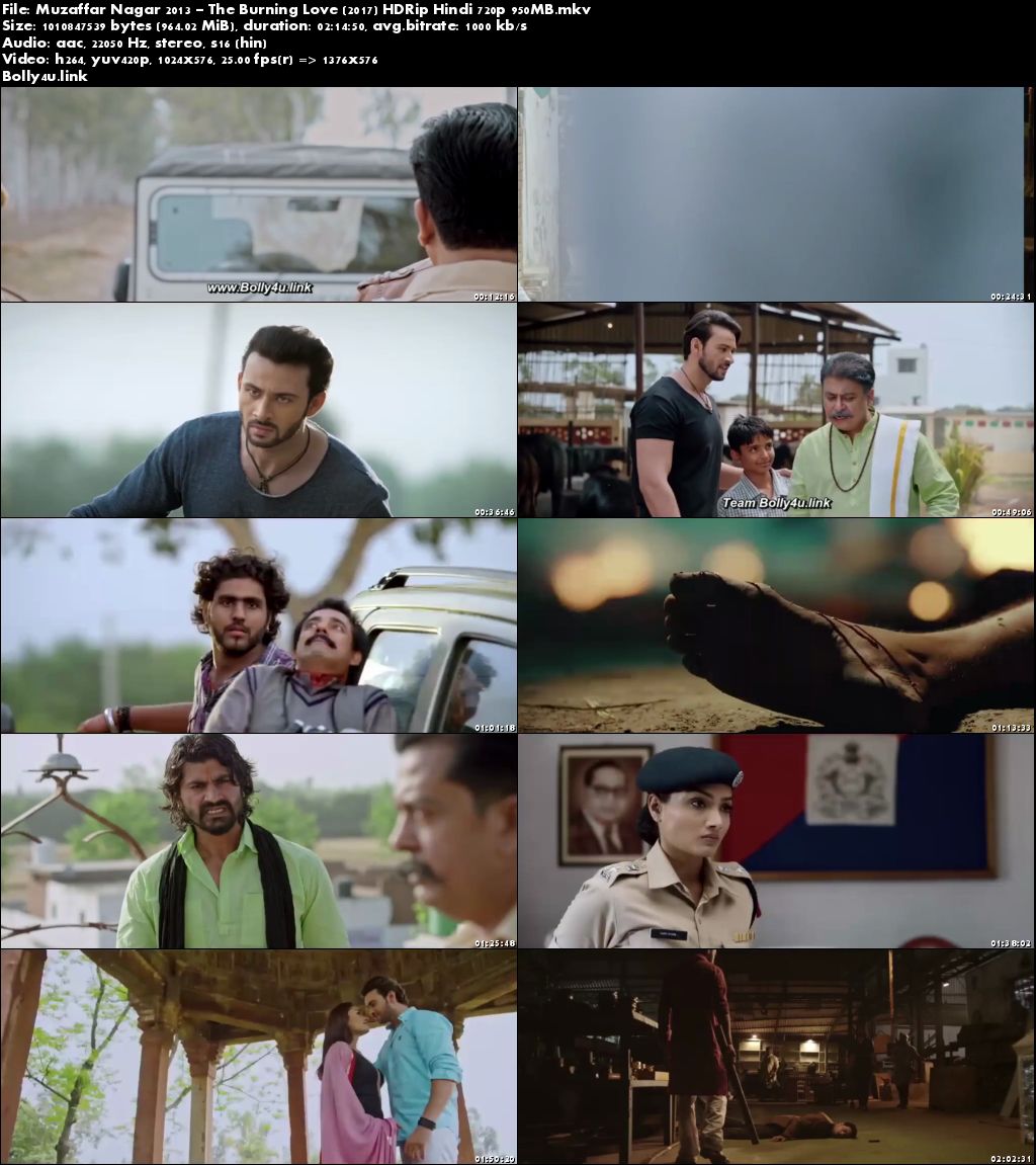 Muzaffar Nagar 2013 The Burning Love 2017 HDRip 400MB Hindi 480p Download