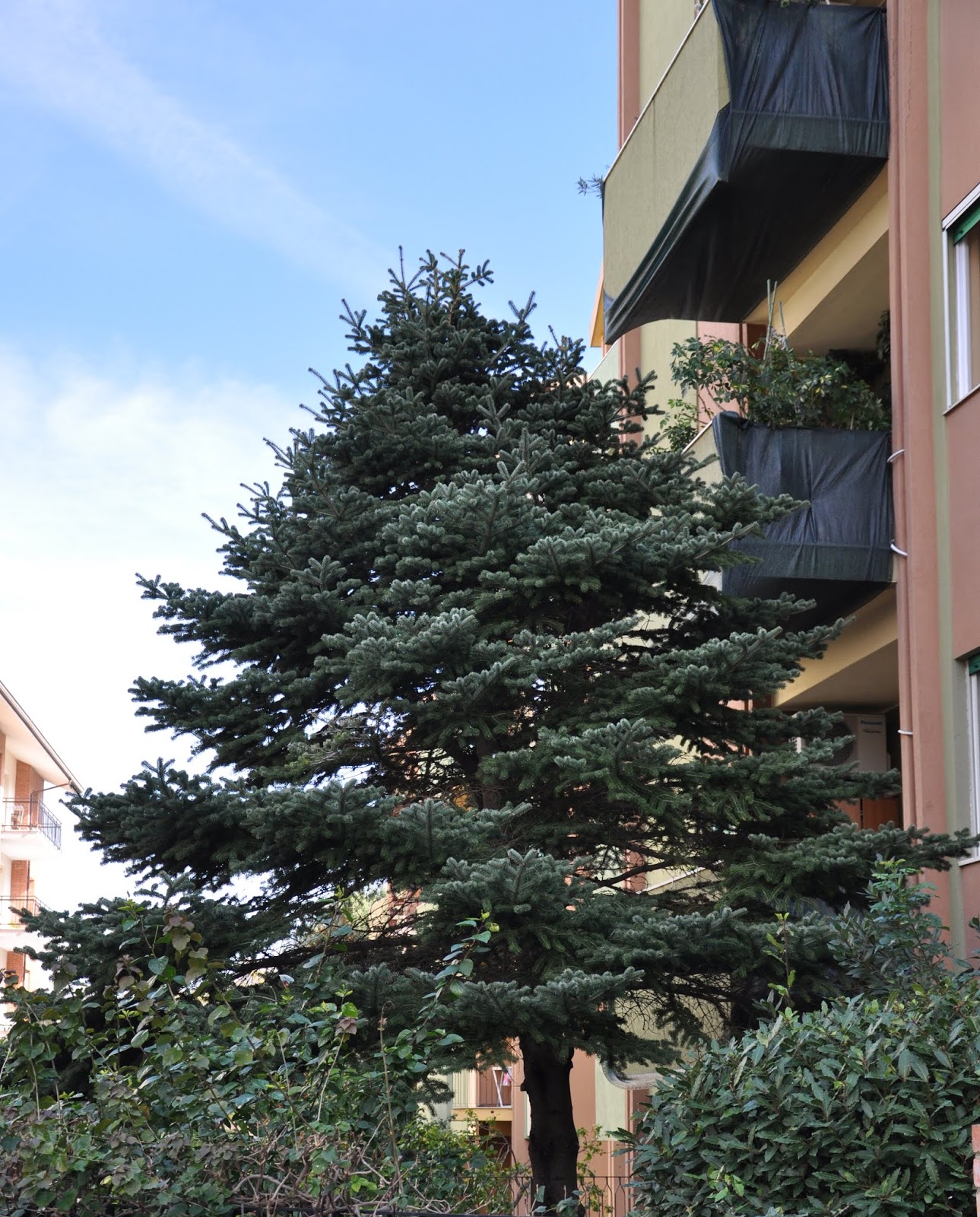 Cagliari In Verde 2018