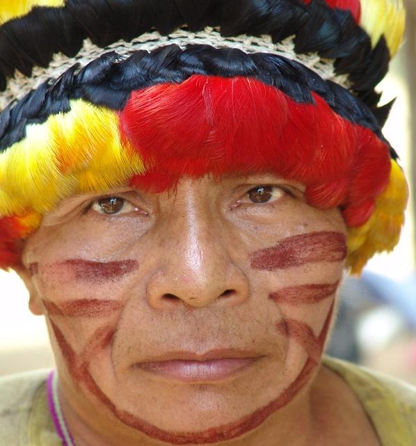 Amazon Explorer Expeditions and Survival in the Amazon Rainforest The