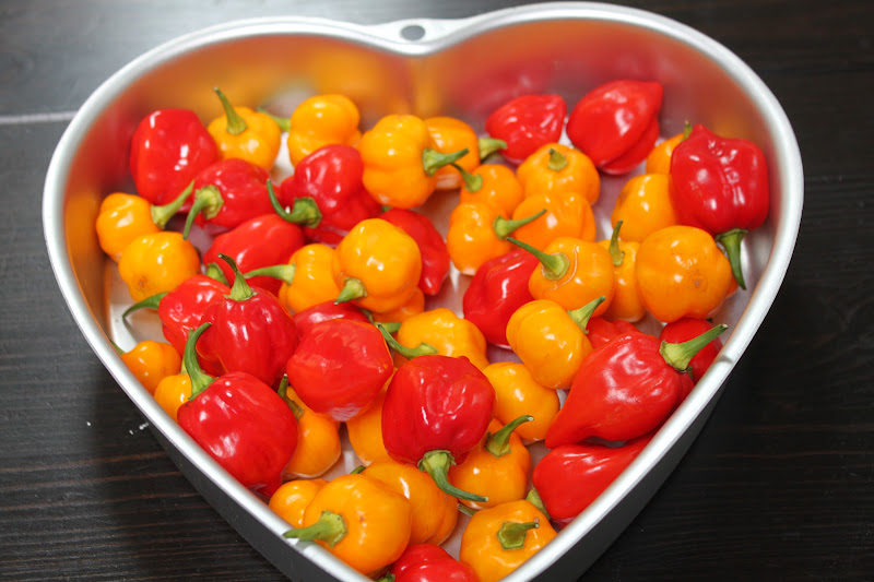 Of Blossoms and Greens: The Makings of a Peach-Habanero Hot Sauce