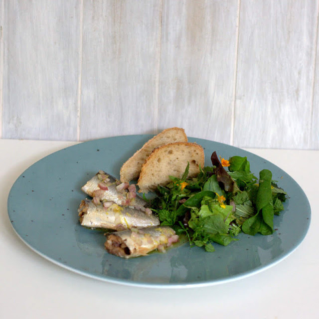 bushcooks kitchen DosenSardinen und Wildkräutersalat aus kochen von Stevan Paul