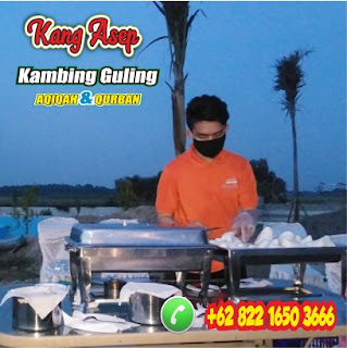 Kambing Guling Muda Rancamanyar Murah 082216503666, Kambing Guling Muda Rancamanyar Murah, Kambing Guling Muda Rancamanyar, Kambing Guling Rancamanyar, Kambing Guling,