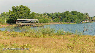 View of Mulavukad boat jetty from Goshree Bridge