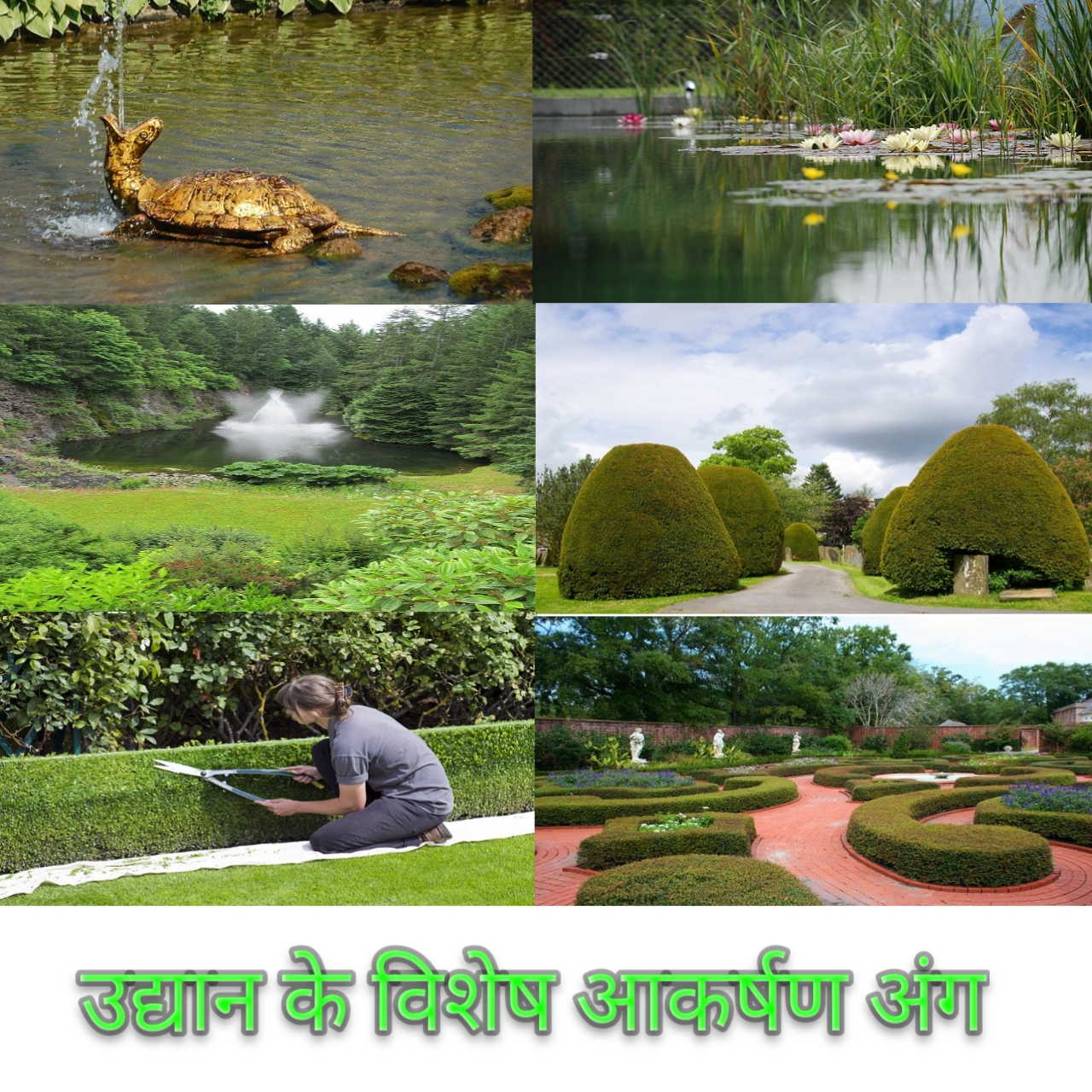 उद्यान के विशेष आकर्षण अंग हिन्दी में Special Attractions of the Garden in hindi