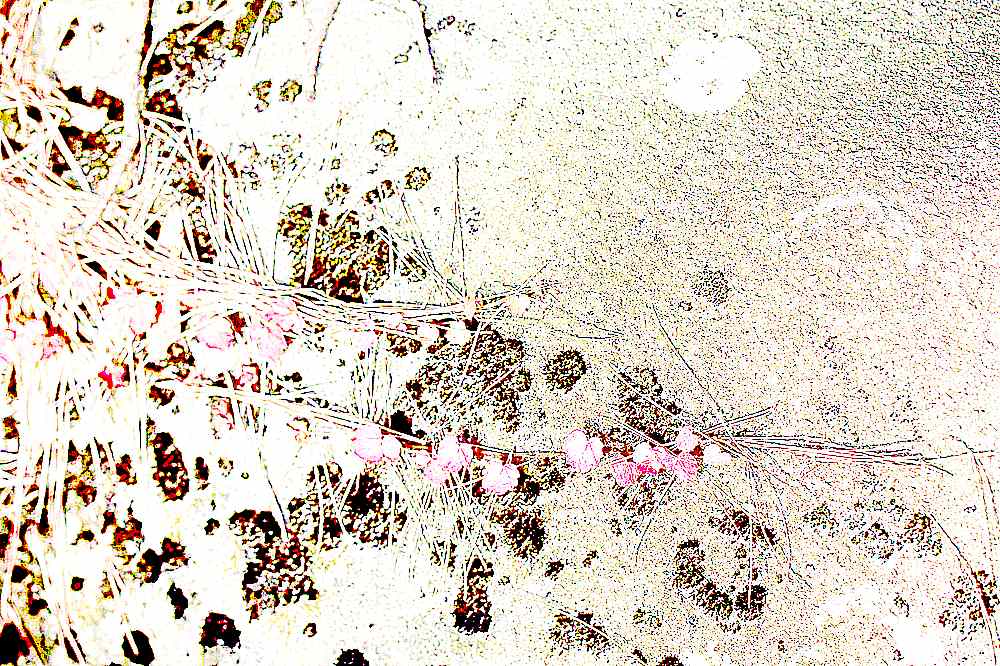 예산 덕숭산 수덕사