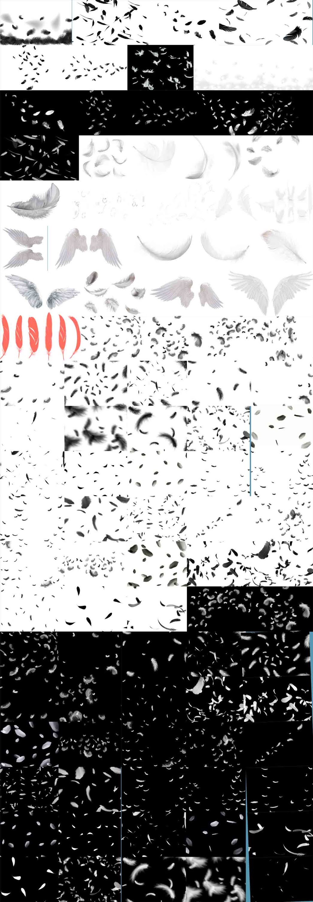 colorful feather, Angel Wings,Feathers,beautiful bokeh,transparent  png,black angel wings