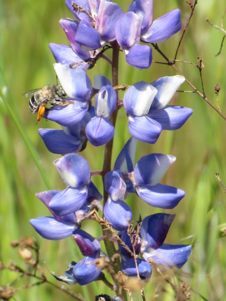 French Valley Wildlife Area... HAERR TRIPPIN'