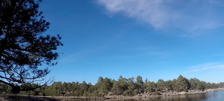 Lago en medio de un bosque