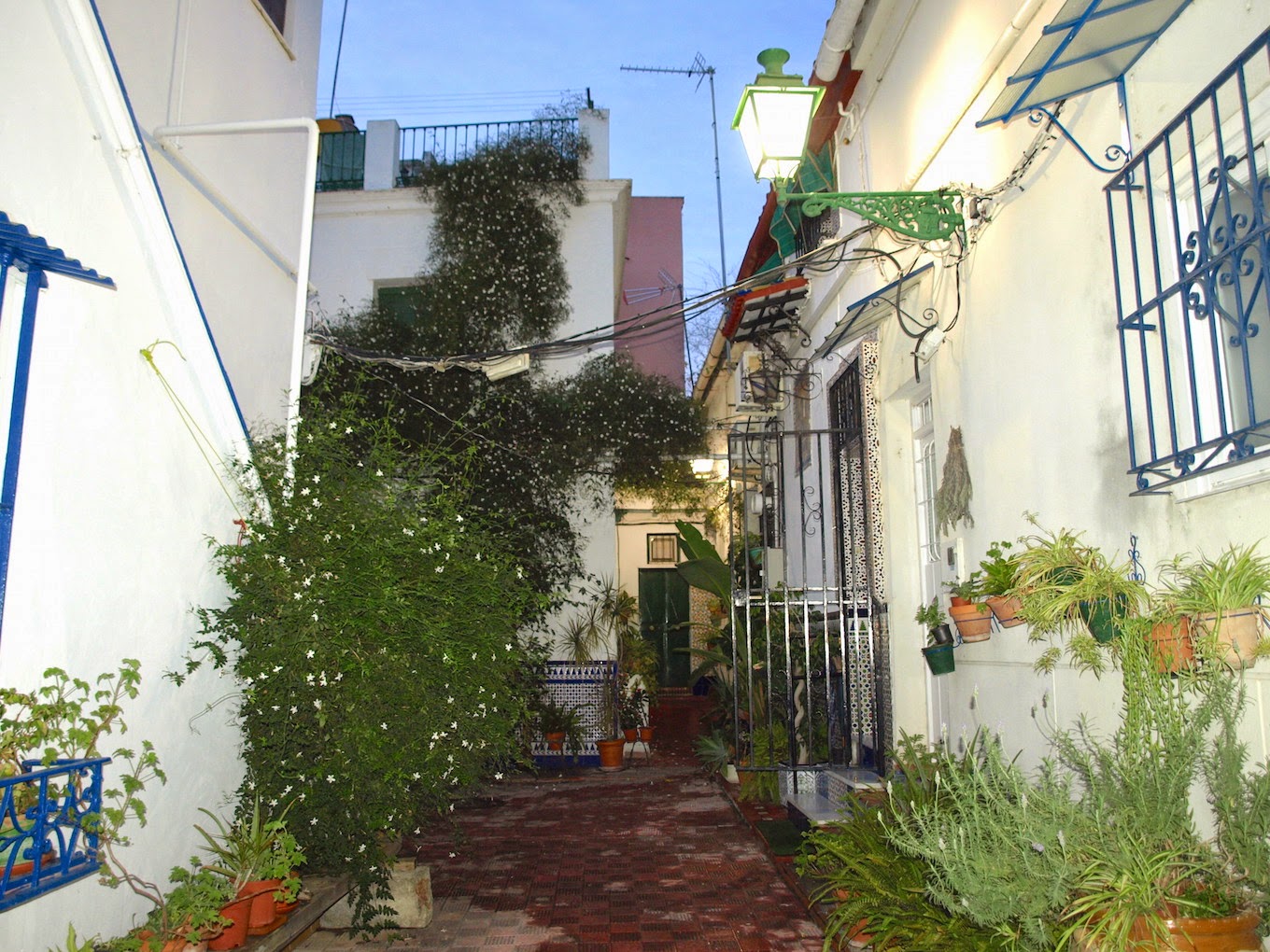 Sevilla Daily Photo La Casa de