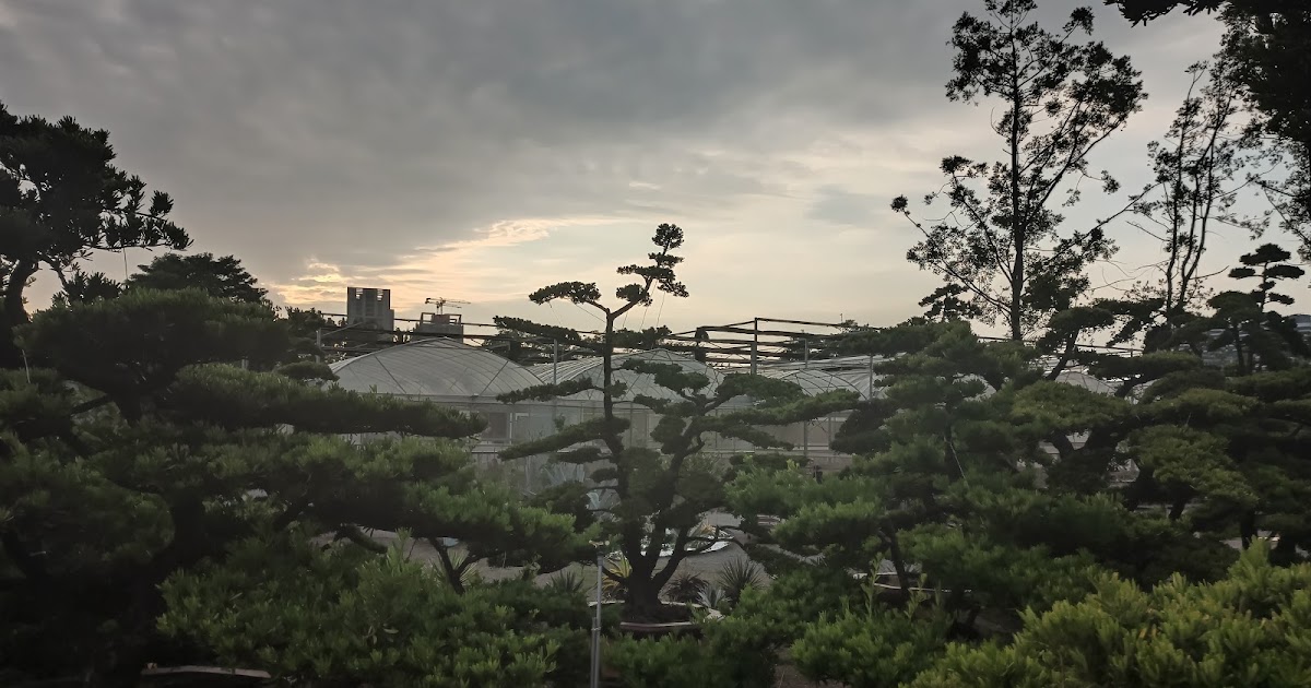[閒聊] ＭＣ多肉園 盆栽仙人掌樂園