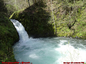 Washington Buck Creek Falls 