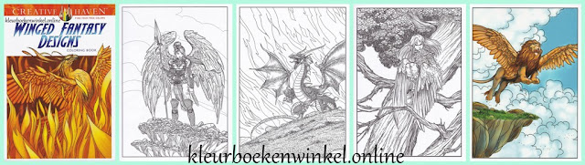 CH 191 kleurboek winged fantasy designs