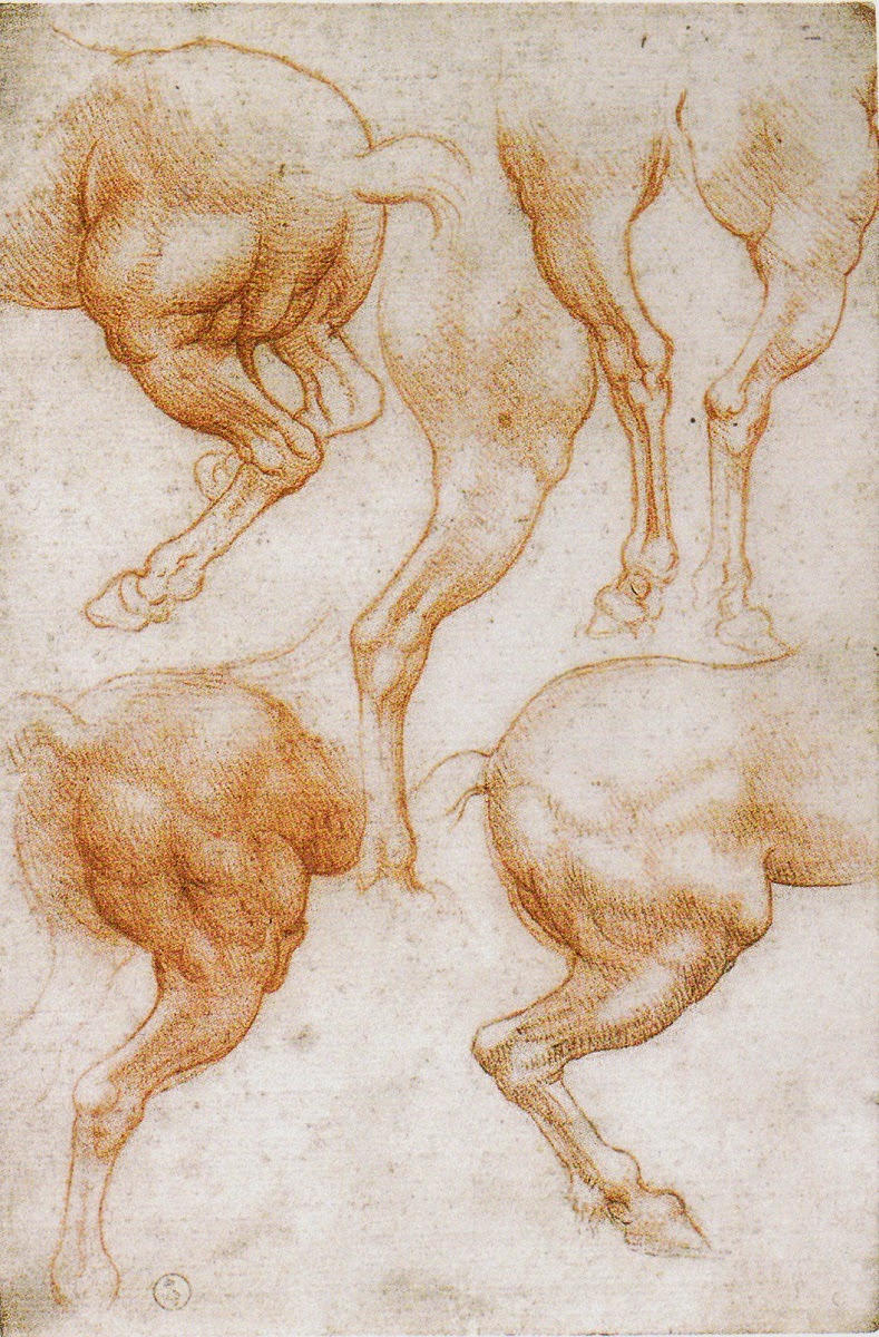 Studi delle zampe posteriori del cavallo per il "Monumento a Francesco Sforza" Biblioteca Reale di Torino