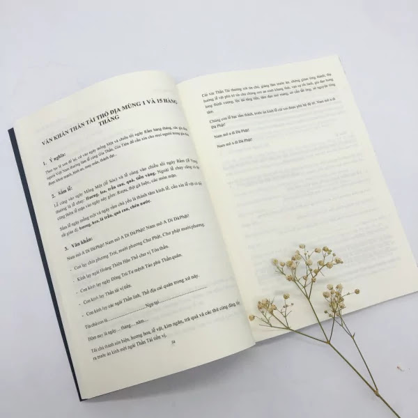 sản phẩm thực tế