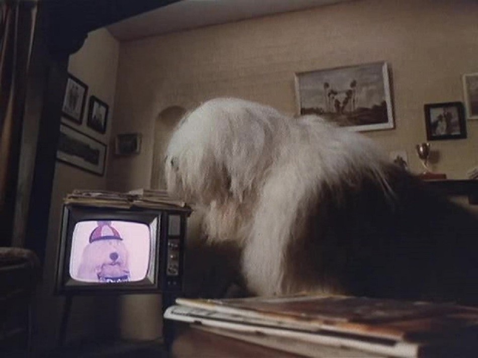 DIGBY O MAIOR CÃO DO MUNDO (LEGENDADO/DVD-RIP) – 1983 10%2B%255BLargura%2BM%25C3%25A1x%2B2400%2BAltura%2BM%25C3%25A1x%2B1800%255D