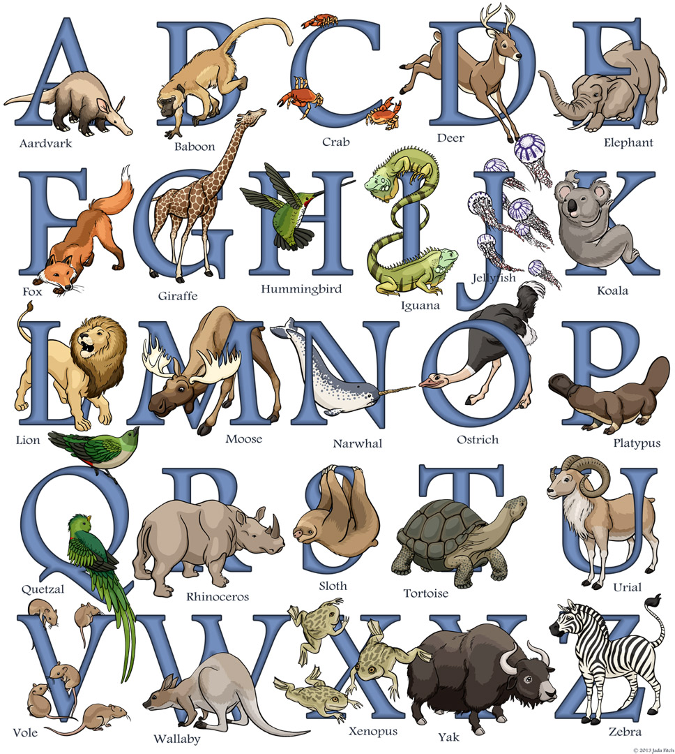 Animals Of The Alphabet