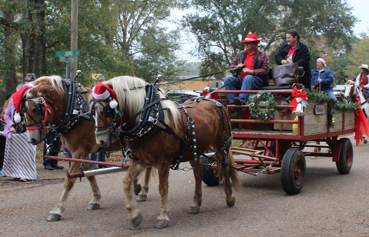 Tammany Family Folsom Horse & Wagon Christmas Parade