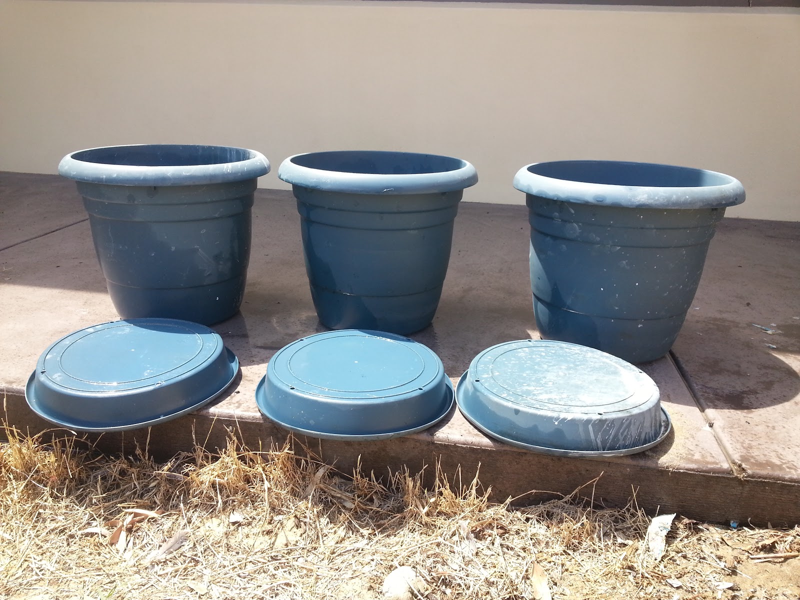 Jarrah Jungle DIY Plastic Pots + Spray Paint = Granite