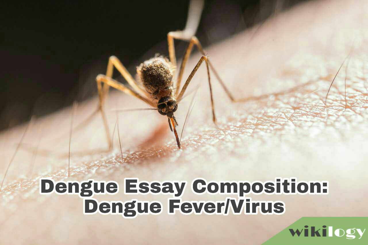 Dengue Essay Composition: Dengue Fever/Virus