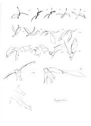 dragon flight sequence sketches cycles animation action storyboard involving rough thumbnail