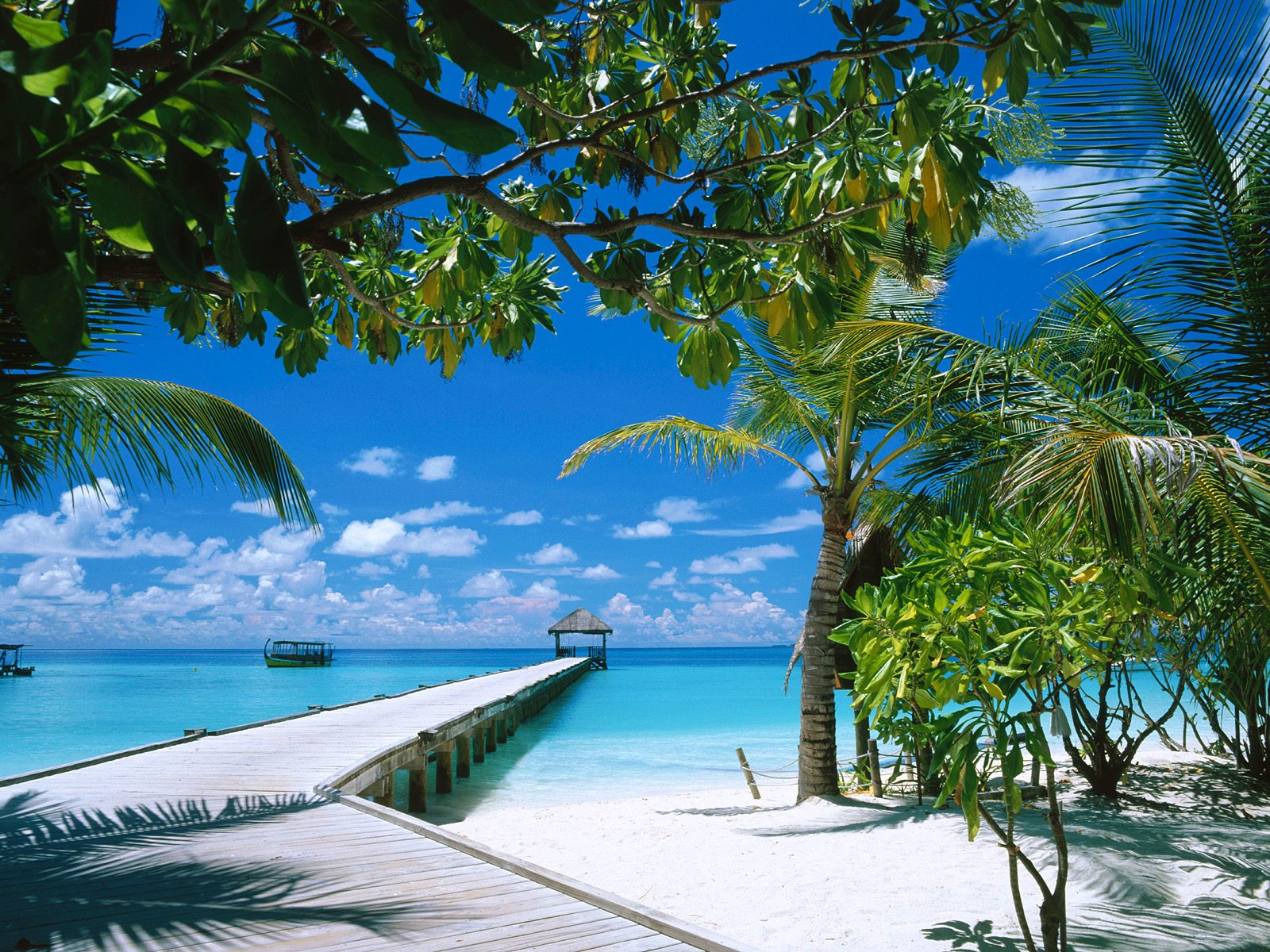 High Definition Beach Wallpapers ~ Cool Wallpapers