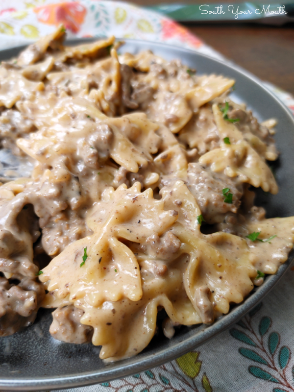 South Your Mouth Helpful Hamburger Stroganoff