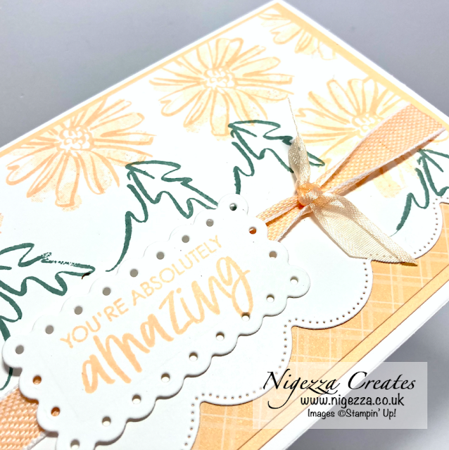 2 Stepped Up #simplestamping Cards with Colour & Contour