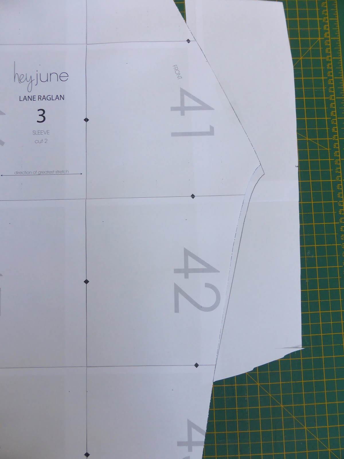 Jo sews Fullbust adjustment raglan sleeves