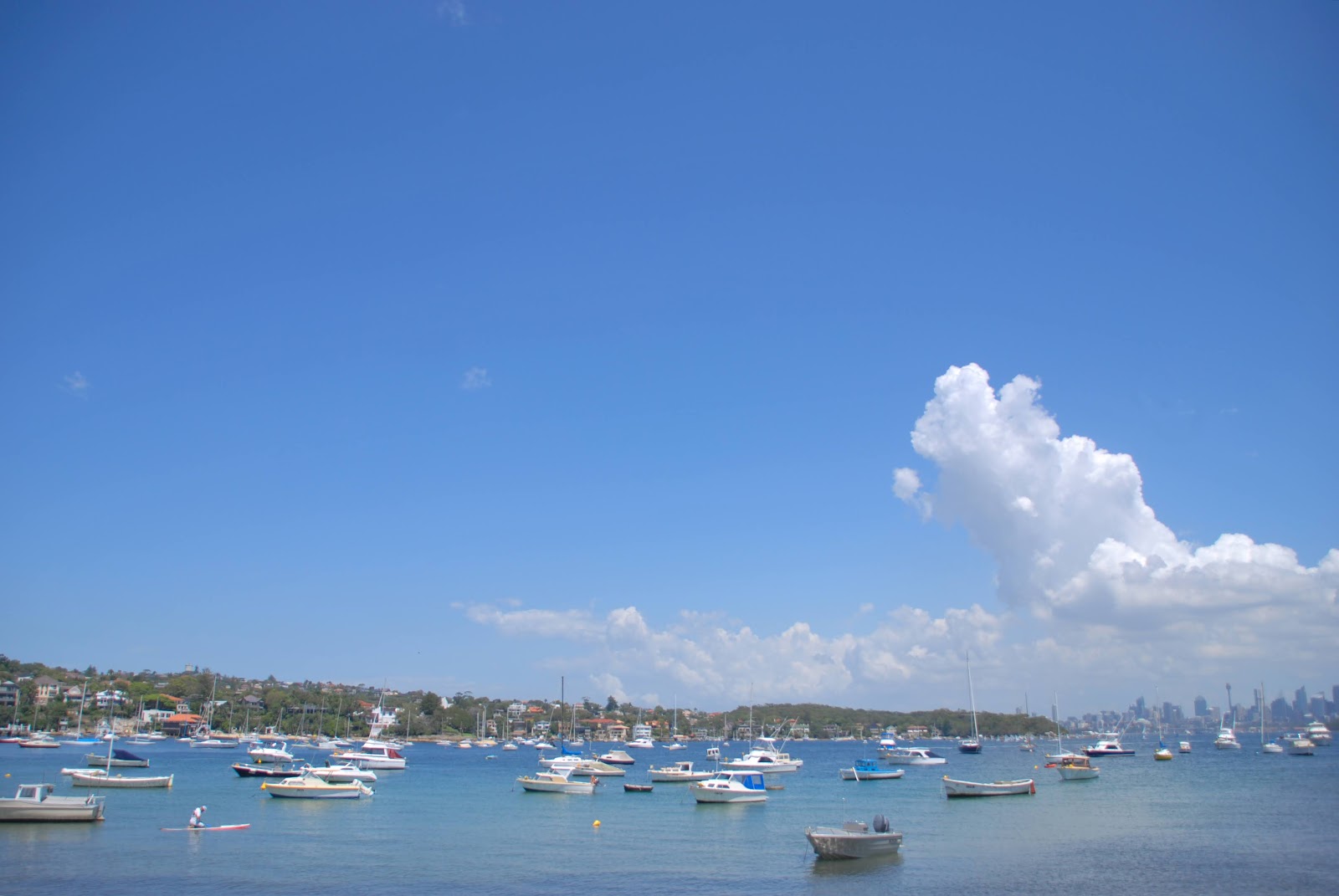 Woody at Home Lady Bay Beach Watsons Bay Woody at Home Lady Bay Beach Watsons Bay