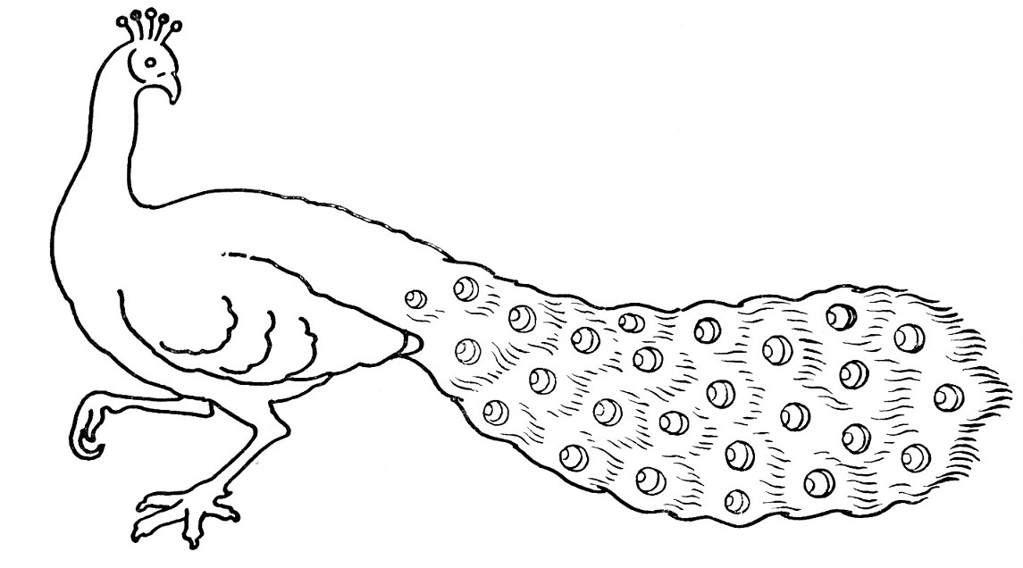 12 Gambar Sketsa Kolase Burung, Yang Lagi Trend