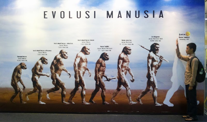 24+ Gambar Evolusi Manusia Teori Darwin, Inspirasi Penting!