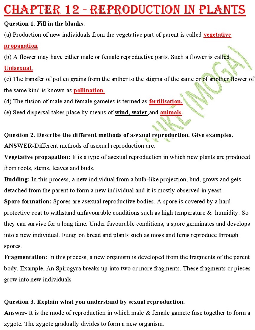 Reproduction in Plants Class 7