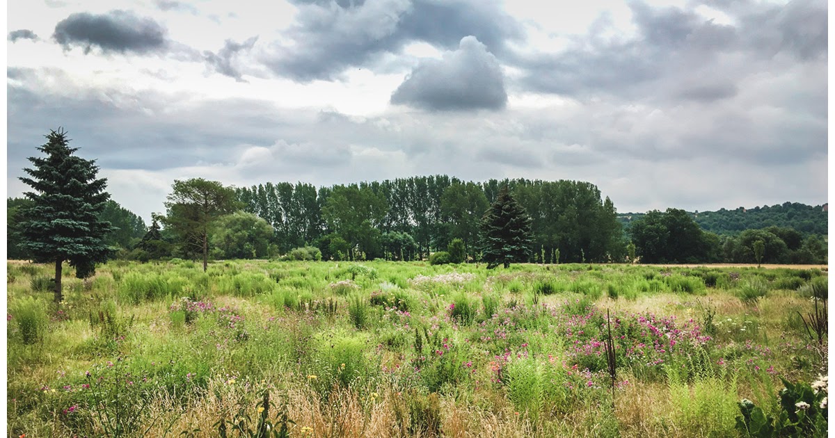 ZEITZER ANSICHTEN Am Rande des Tiergartens