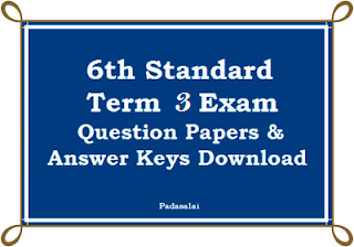 6th 3rd term exam paper