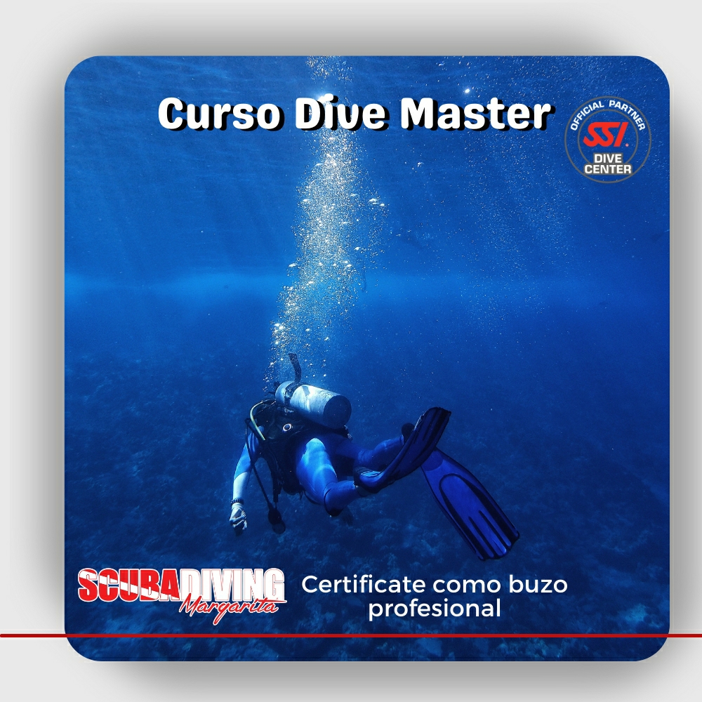 Buceo y snorkeling, excursiones Isla Margarita, curso de buceo, ocio