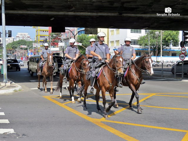 Policiais da Cavalaria da Polícia Militar de São Paulo Close-up de grupo de Policiais da Cavalaria da Polícia Militar de São Paulo em patrulha por Sampa