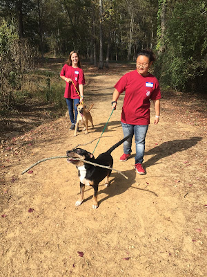 Catholic's Key Club in Service at the Humane Shelter 1
