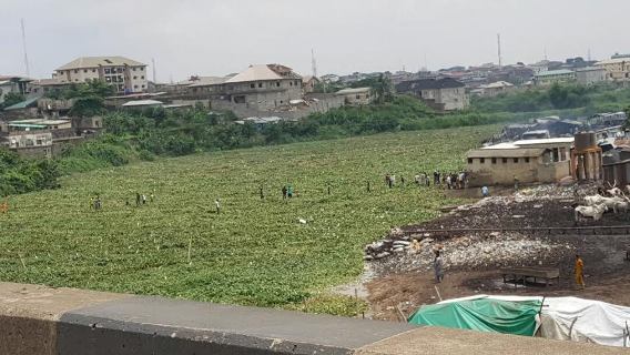0 River shockingly turns to dry land at Kara Market in Lagos (photos)