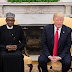 Presidents Buhari, Trump in phone conversation share ideas on combating COVID-19