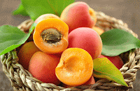 Albicocca