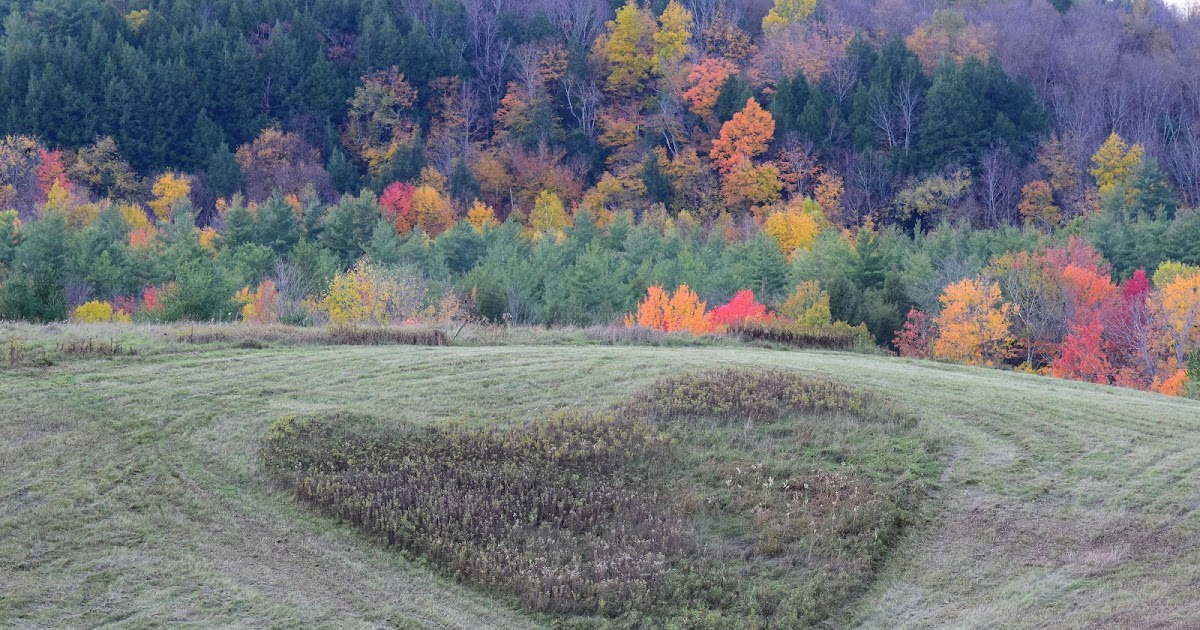 Jericho, Vermont Photos Finding heart in Jericho, Vermont