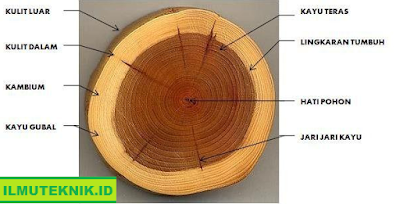 ILMU TEKNIK - Sifat-Sifat Kayu