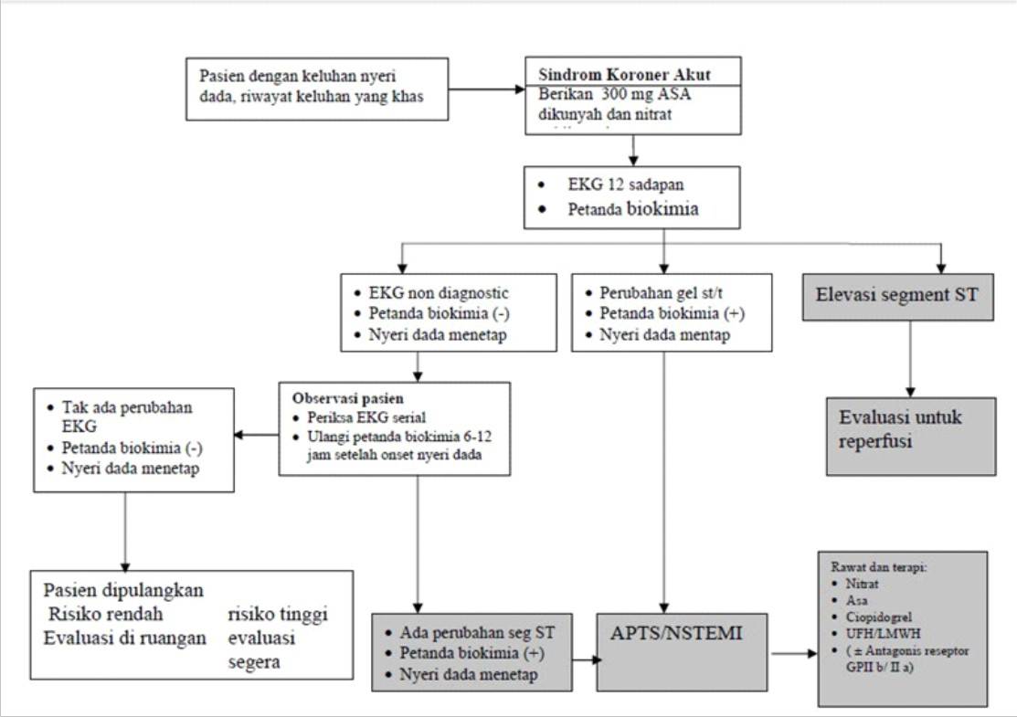 makes life longer asuhan keperawatan unstable angina pectoris