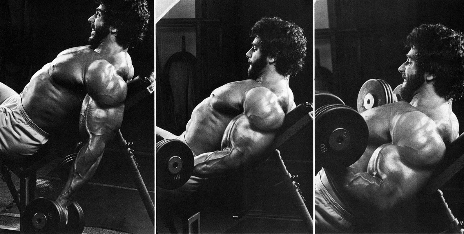 The Ultimate Hercules Blog: Lou Ferrigno training for Hercul