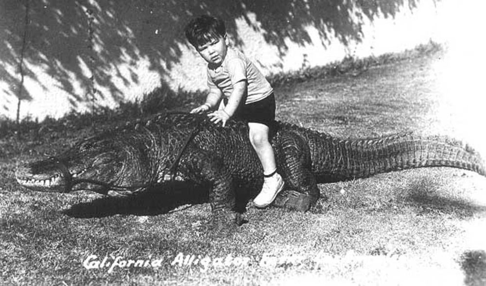 When Kids Played With Alligators in Los Angeles in the Early 20th