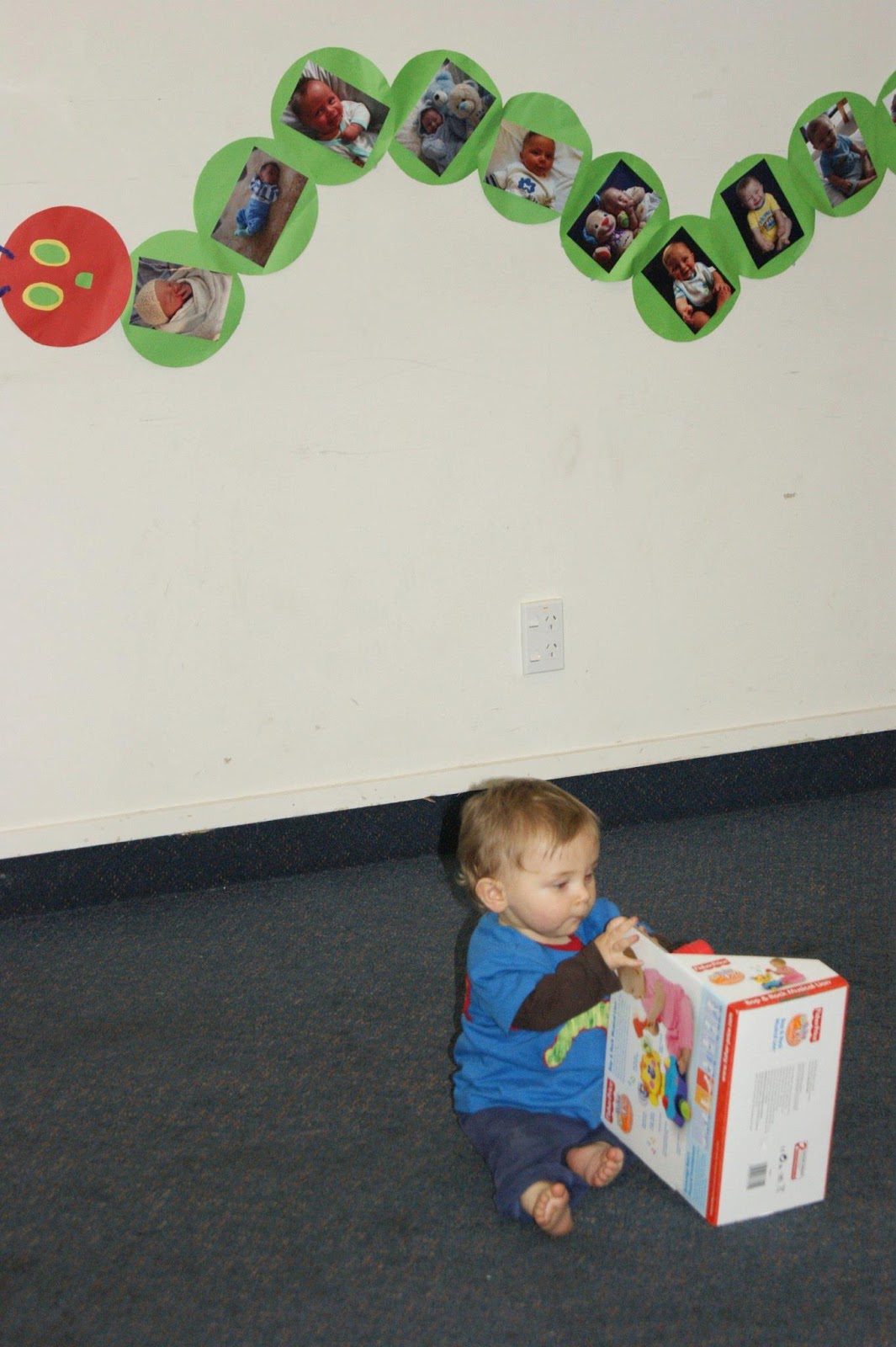 Baby Photography Props NZ