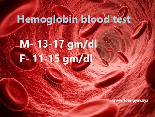 What is hemoglobin