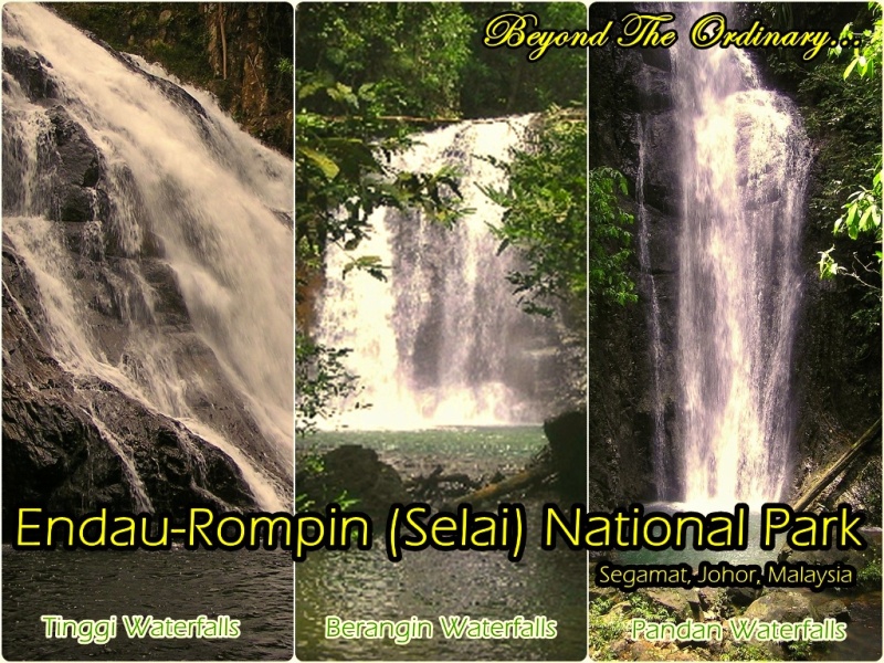 Endau Rompin (Selai) National Park